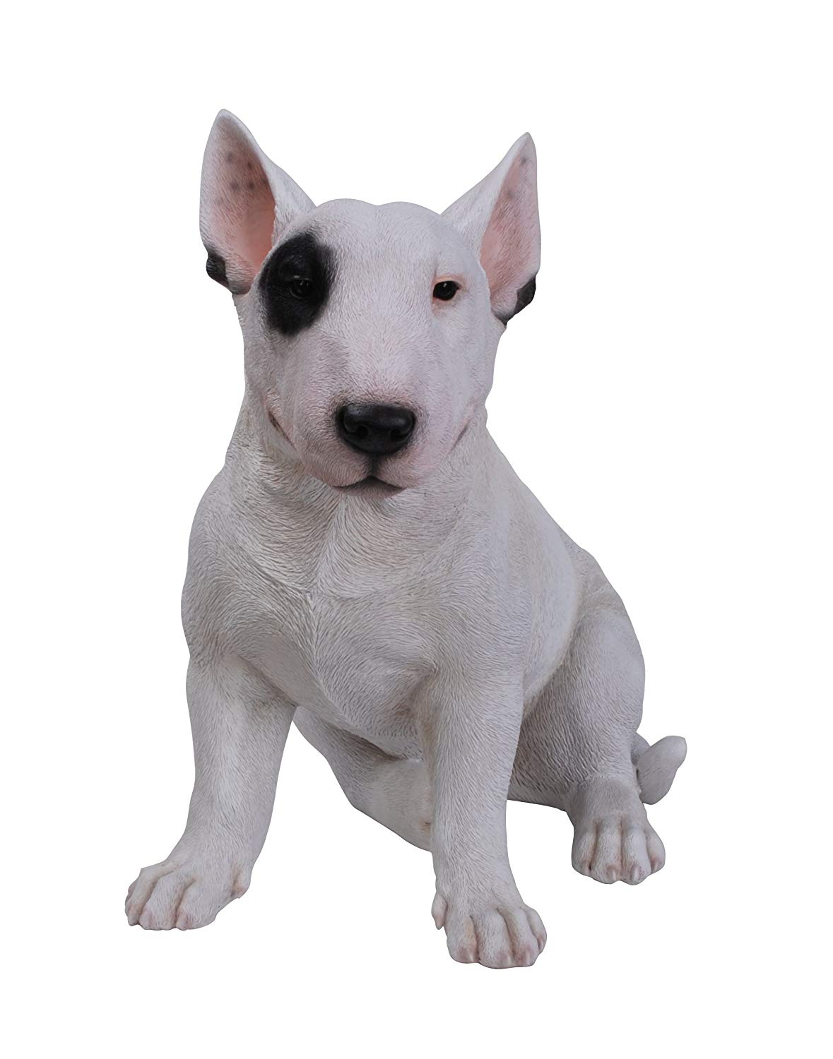 Este é o Bull Terrier com sua charmosa manchinha no olho