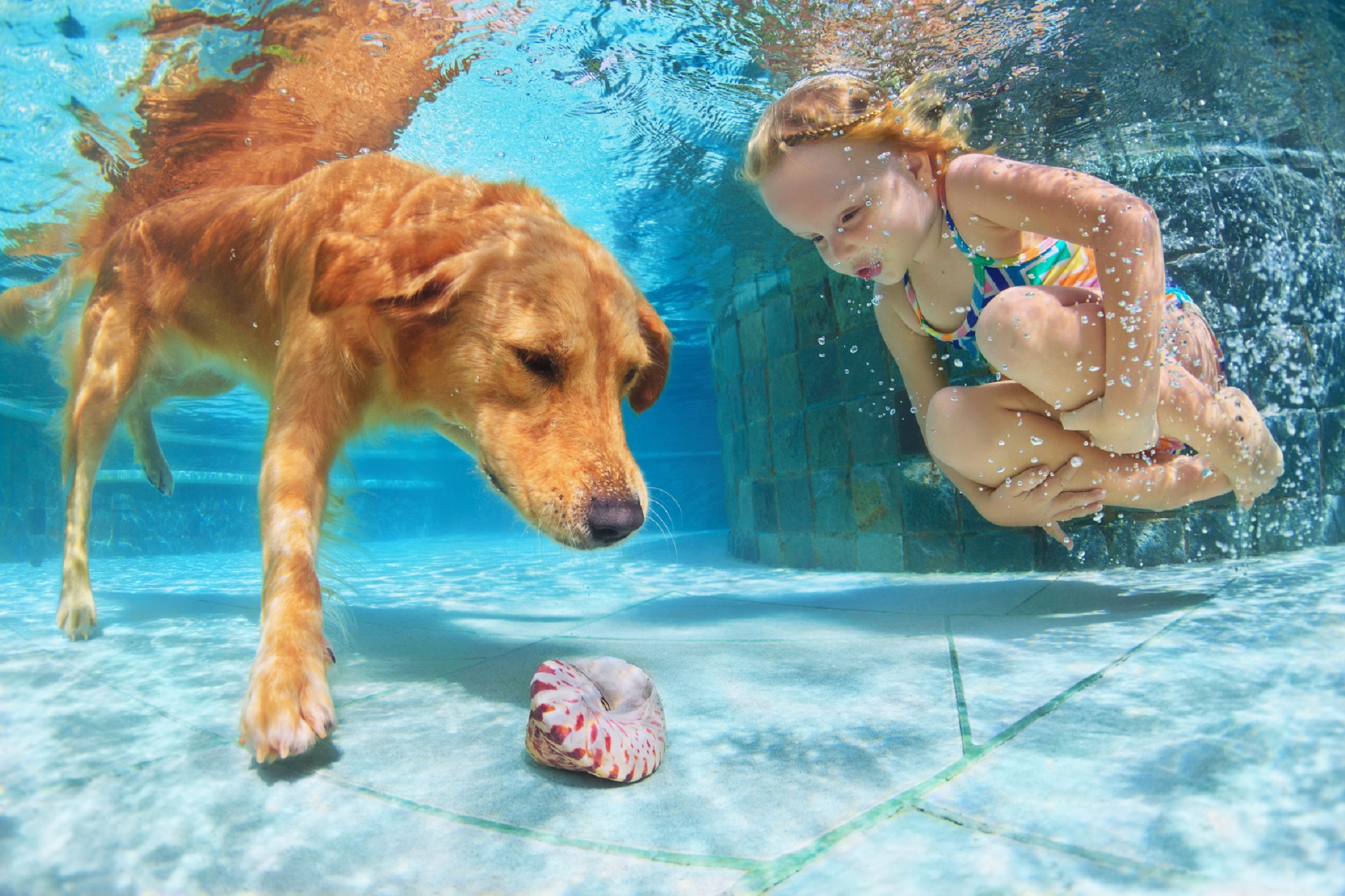 Olha que lindo momento entre uma menininha e seu Golden Retriever.