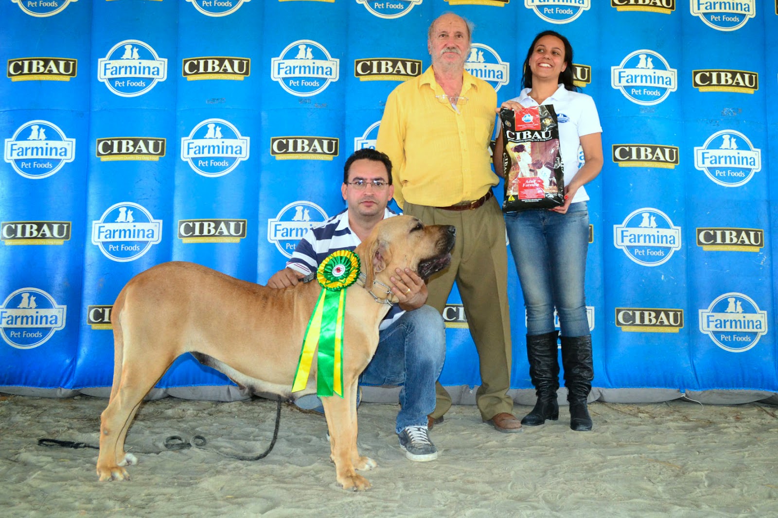 Este Fila Brasileiro foi o campeão de uma exposição em 2014