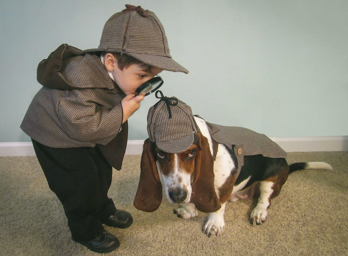 Basset Hound - Um cão divertido e de olhar irresistível! 8