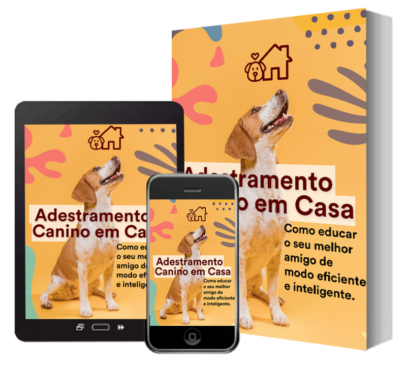 Adestramento Canino em Casa 2