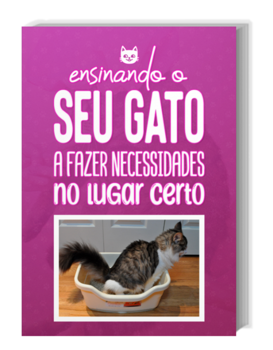 Adestrando um Gato Arteiro 30