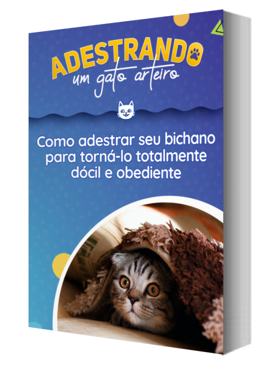 Adestrando um Gato Arteiro 4