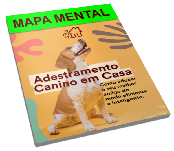 Adestramento Canino em Casa 36