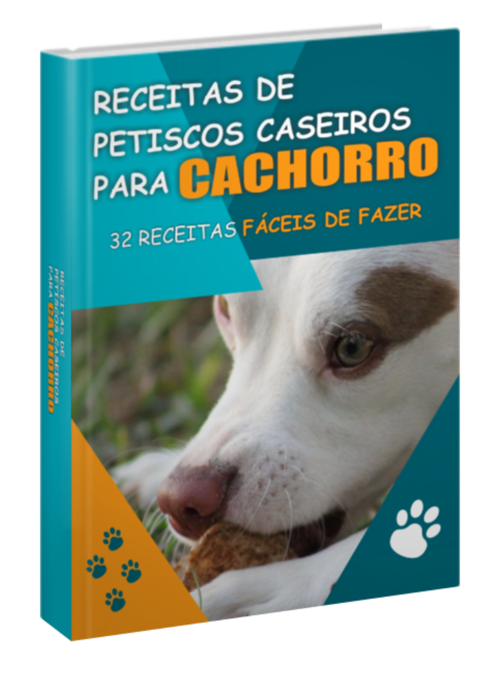 Adestramento Canino em Casa 38